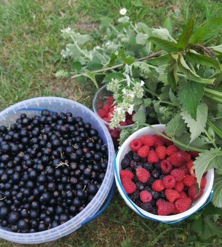 pexels lidia mykytyna 2156190049 34962340